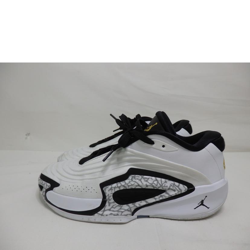 NIKE ナイキ/JORDAN LUKA3PF/27.0cm/FQ1285-170//Bランク/84