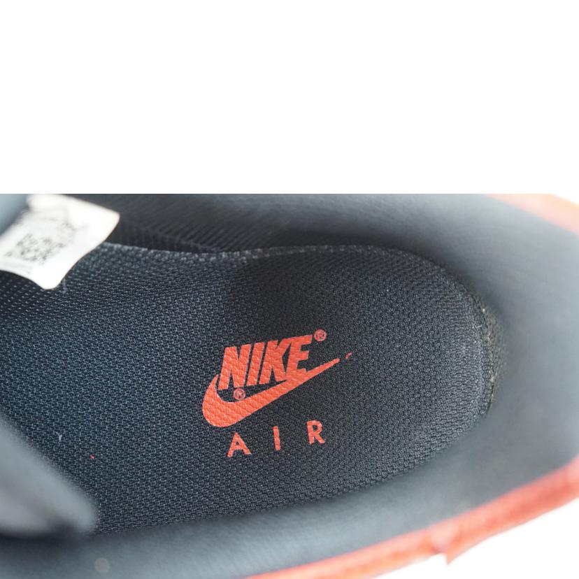 NIKE ナイキ/NIKE AIR FORCE 1/1 /DD2429-001//ABランク/67