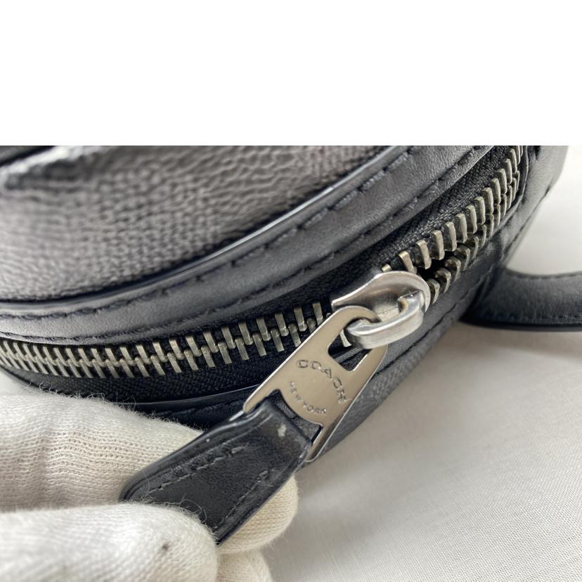 COACH コーチ/スモールシグネチャー トラベルキット/CAR15//J25**/Bランク/52