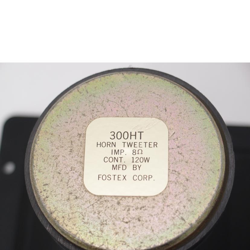 FOSTEX フォステクス/ホーン型ツィーター(ペア)/300HT//-/ABランク/69
