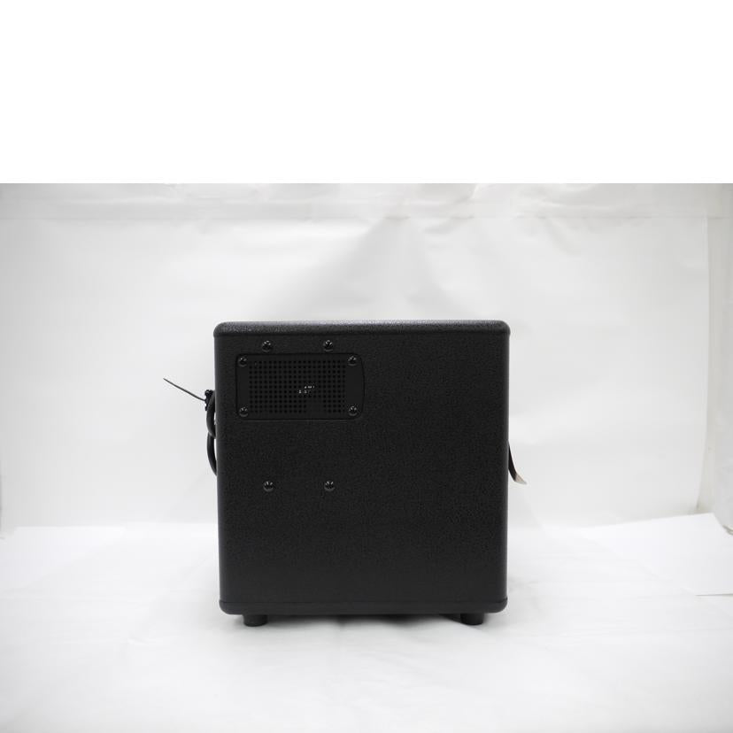 Roland ローランド/Acoustic Chorus/ギターアンプ/AC-60//DW98803/ABランク/69