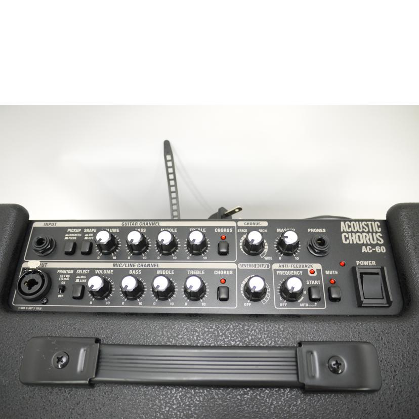 Roland ローランド/Acoustic Chorus/ギターアンプ/AC-60//DW98803/ABランク/69