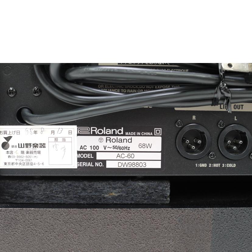 Roland ローランド/Acoustic Chorus/ギターアンプ/AC-60//DW98803/ABランク/69