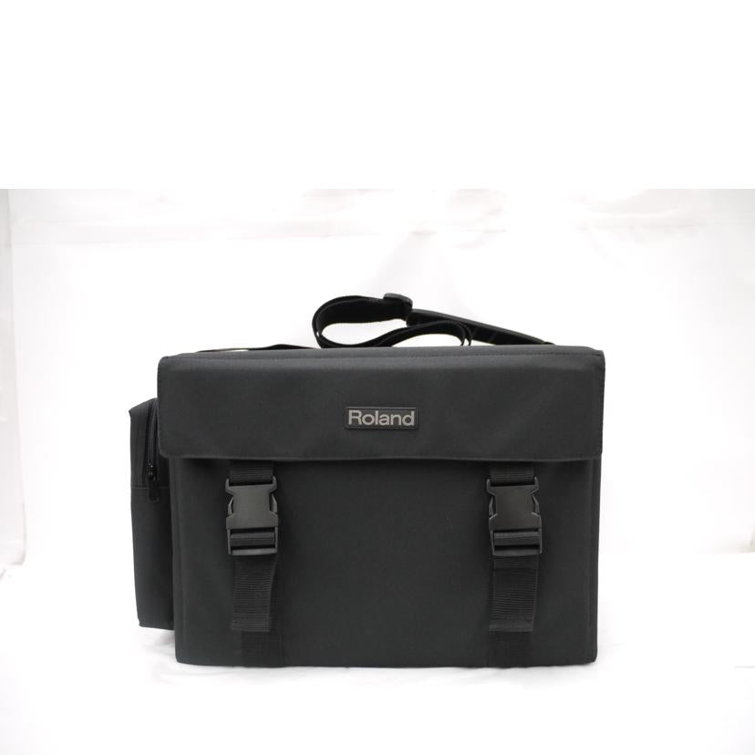 Roland ローランド/Acoustic Chorus/ギターアンプ/AC-60//DW98803/ABランク/69