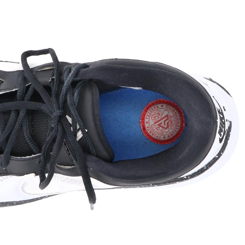 NIKE ナイキ/ZOOM FREAK 5EP/DX4996-101//ABランク/76