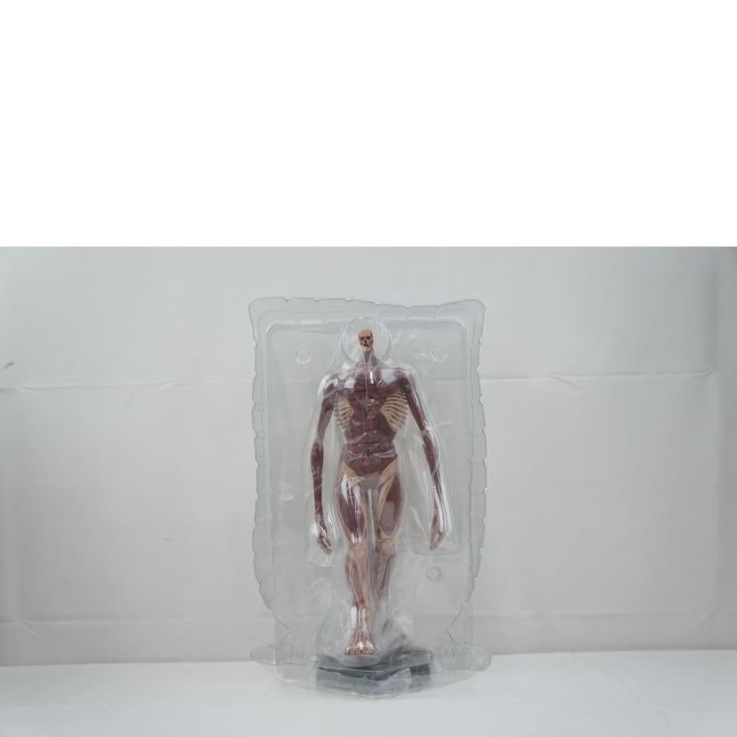 GOOD SMILE COMPANY グッドスマイルカンパニー/アルミン・アルレルト 超大型巨人Ver. L size/POP UP PARADE//Aランク/67