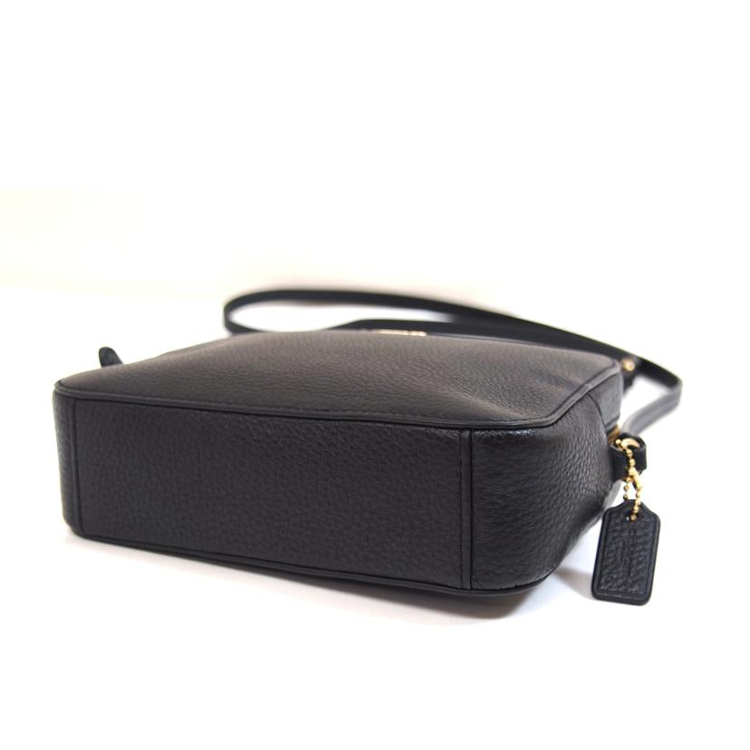 COACH コーチ/ペブルレザーミニカメラバック/87734//K20**/ABランク/71