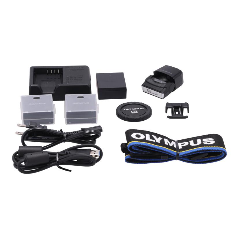 OLYMPUS オリンパス /ミラーレス一眼 ボディ/E-M1X ボディ//BJ4A20013/Bランク/67