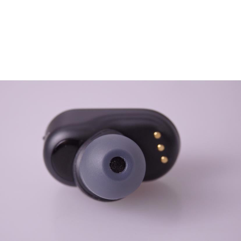 SONY ソニー/ワイヤレスイヤホン/WF-1000XM3//6234132/Bランク/76
