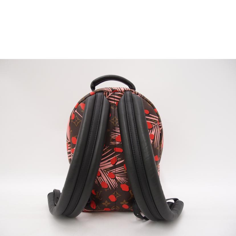 LOUIS VUITTON ルイヴィトン/パームスプリングス バックパックPM/ジャングルドット/M41981//FL1***/Aランク/69