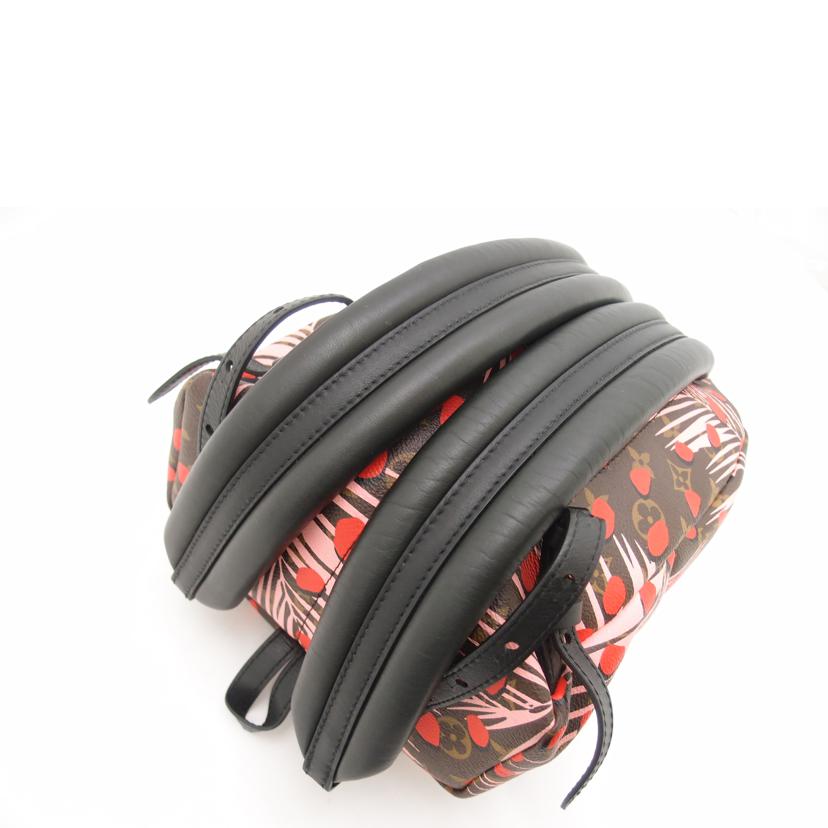 LOUIS VUITTON ルイヴィトン/パームスプリングス バックパックPM/ジャングルドット/M41981//FL1***/Aランク/69