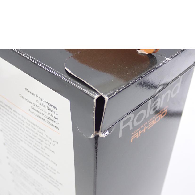 Roland Roland/ヘッドホン/RH-300//ABランク/62