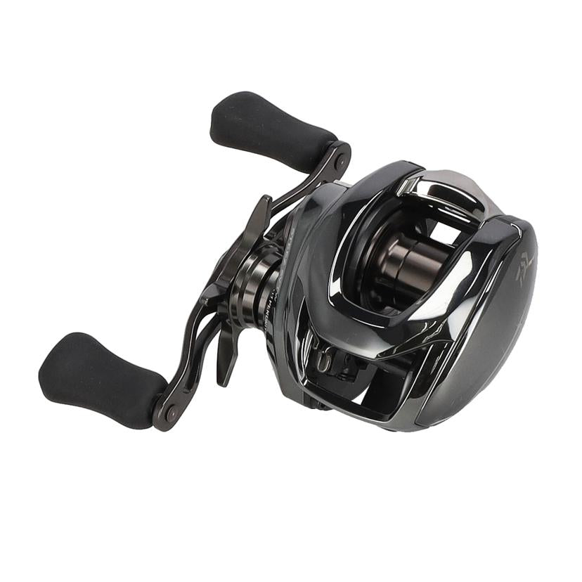 DAIWA ダイワ/スピニングリール/24STEEZ SV TW100H//3 344312-02985/Aランク/09
