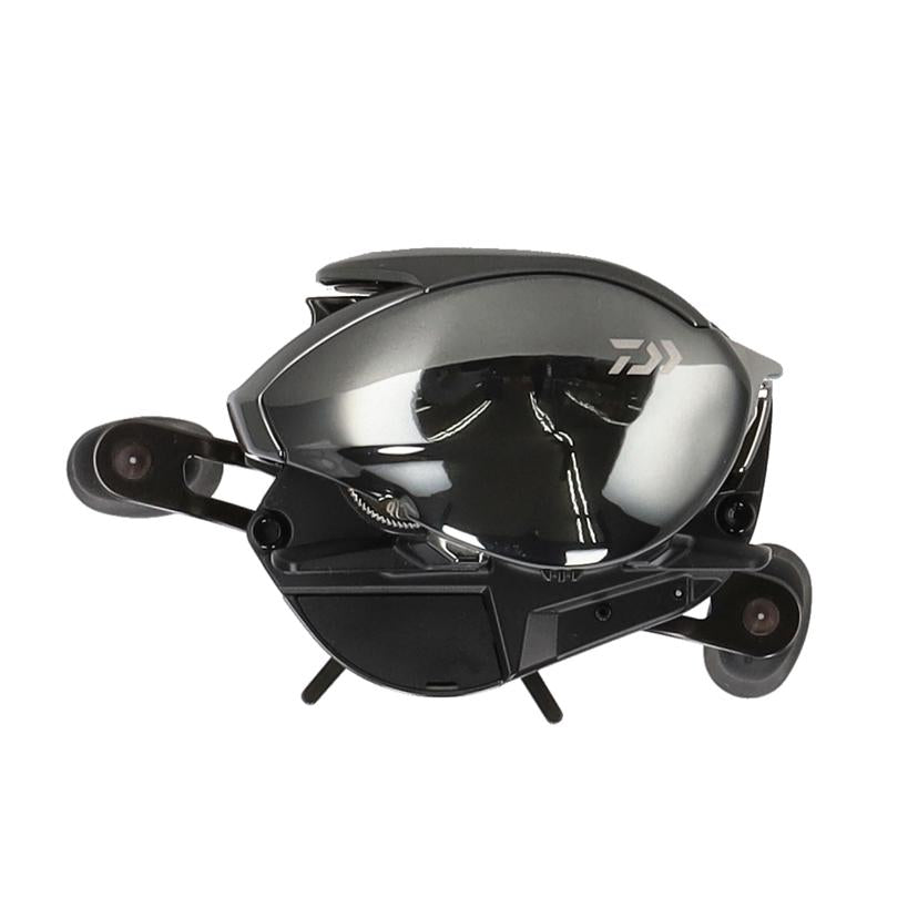 DAIWA ダイワ/スピニングリール/24STEEZ SV TW100H//3 344312-02985/Aランク/09