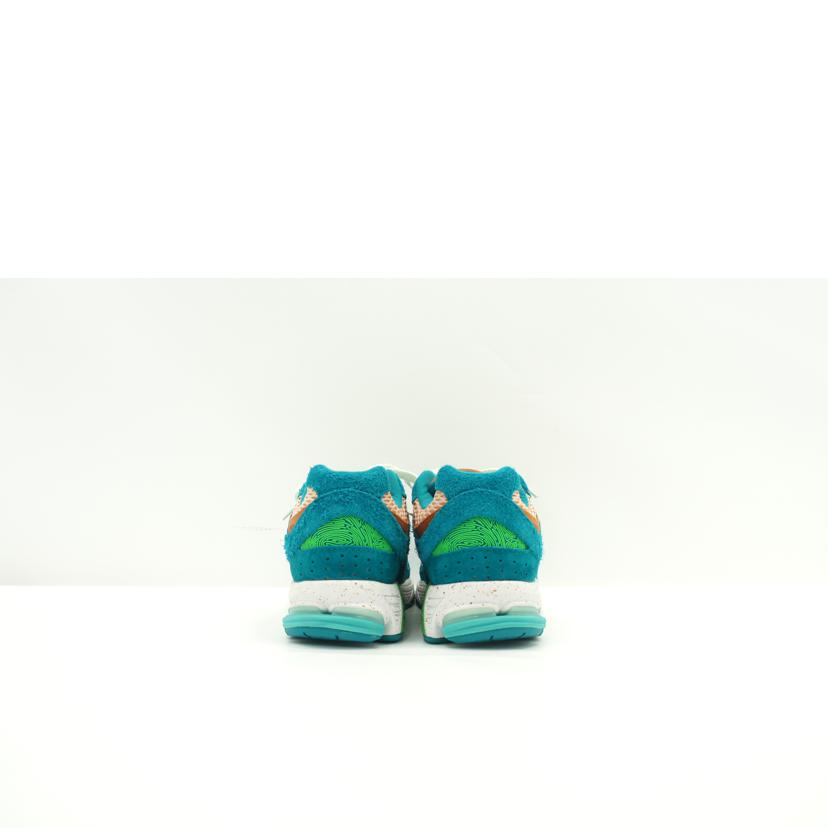 NB ニューバランス/サレヘ・ベンバリー×2002R/ウォータービーザガイド/ML2002RJ//サイズ:26.5cm/Aランク/75