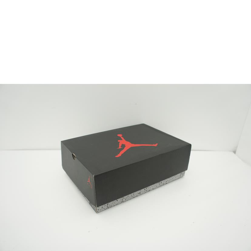 NIKE ナイキ/AJ6 RETRO "WASHED DENIM"/CT5350-401//ABランク/41