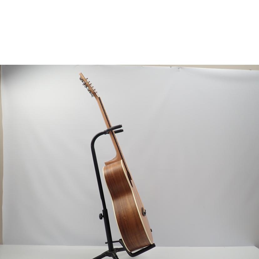 aNueNue aNueNue/アコースティックギター/Bird M3//Bランク/62