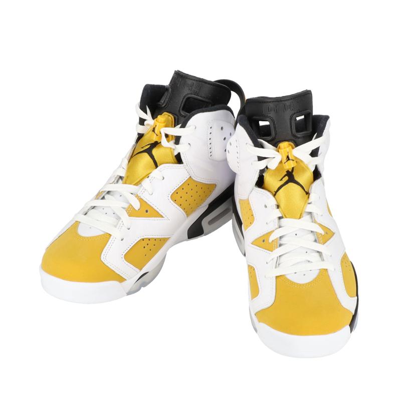 NIKE NIKE/AIR JORDAN 6 /CT8529-170//Aランク/85