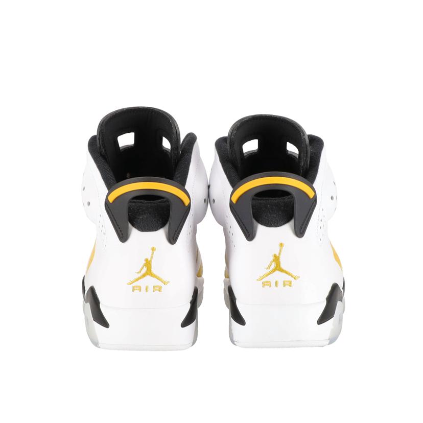 NIKE NIKE/AIR JORDAN 6 /CT8529-170//Aランク/85