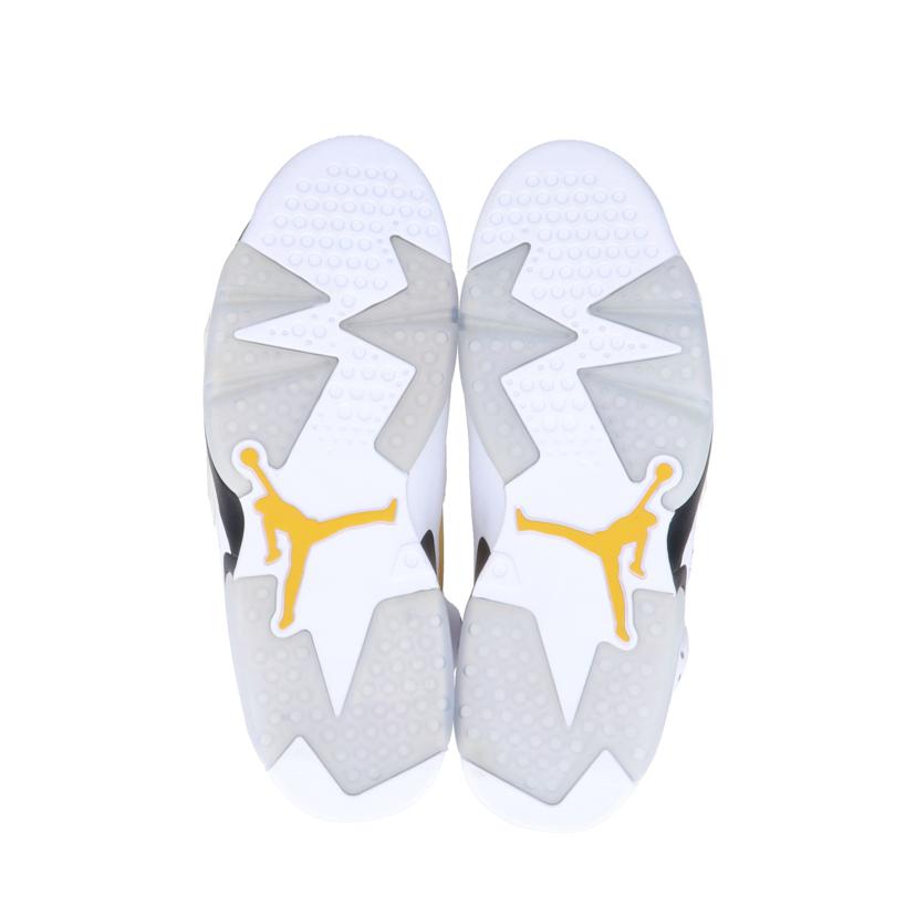 NIKE NIKE/AIR JORDAN 6 /CT8529-170//Aランク/85