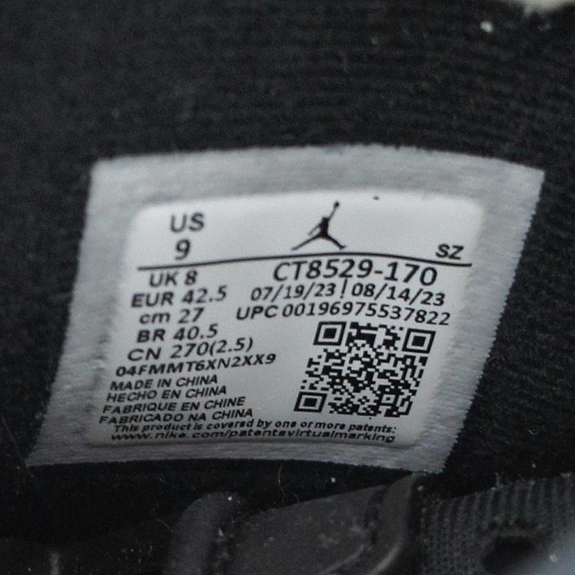 NIKE NIKE/AIR JORDAN 6 /CT8529-170//Aランク/85