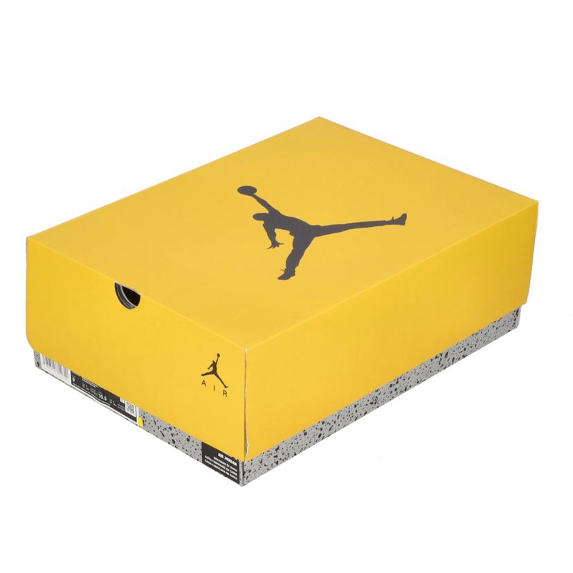 NIKE NIKE/AIR JORDAN 6 /CT8529-170//Aランク/85