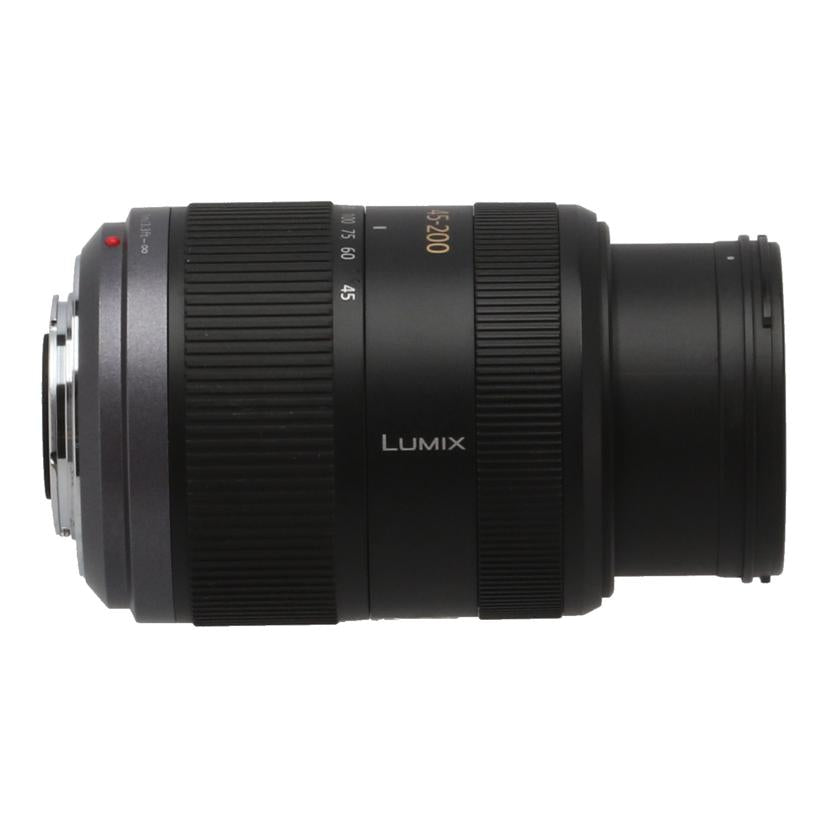 Panasonic パナソニック /交換レンズ/45-200mm/H-FS045200//XT0GB008862/Bランク/69