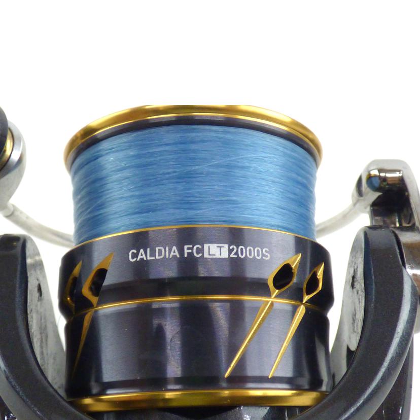 Daiwa ダイワ/スピニングリール/CALDIA FC LT 2000S//ABランク/64