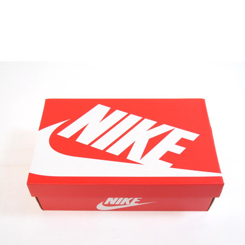NIKE ナイキ/NIKE AIRMAX1 Essential/DZ2628-102//-/Sランク/71
