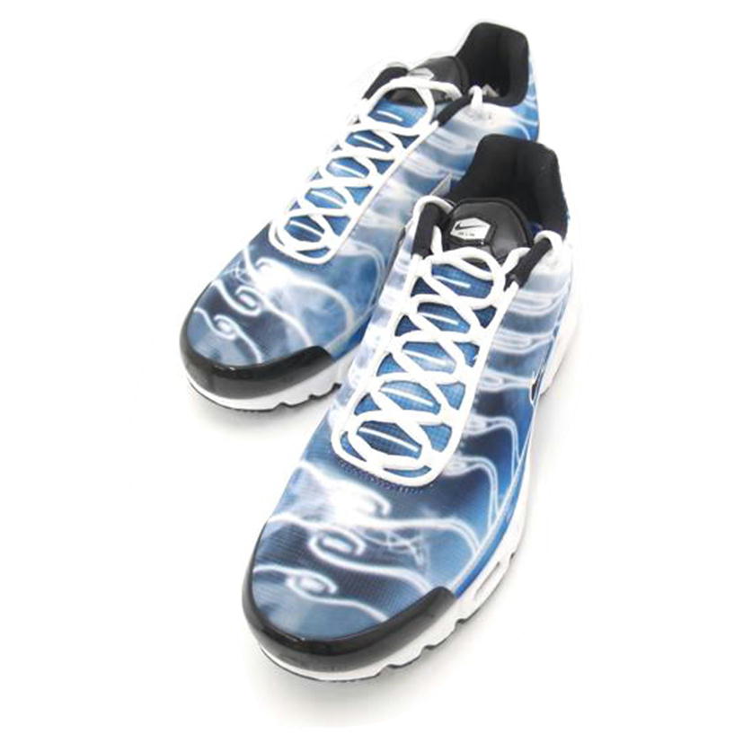 NIKE ナイキ/NIKE AIR MAX PLUS OG/DZ3531-400//Sランク/69