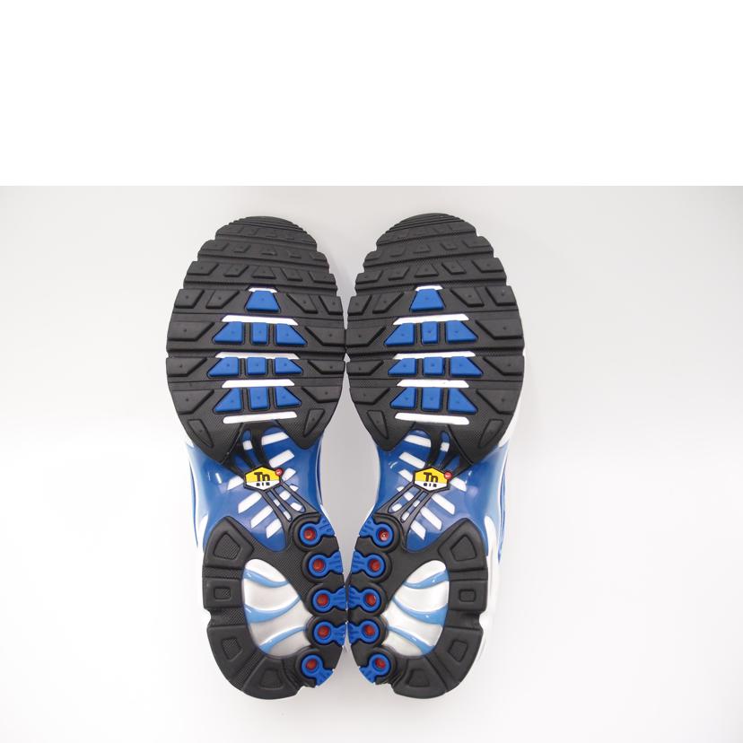 NIKE ナイキ/NIKE AIR MAX PLUS OG/DZ3531-400//Sランク/69