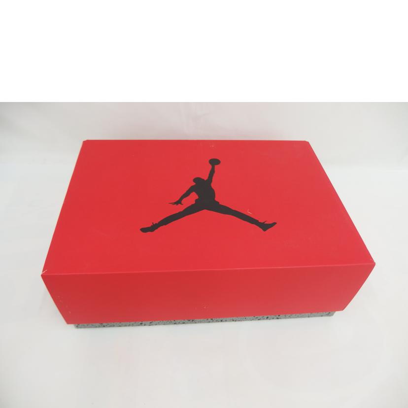 NIKE ナイキ/Air Jordan 6 Retro "Toro Bravo"/CT8529-600//Aランク/82