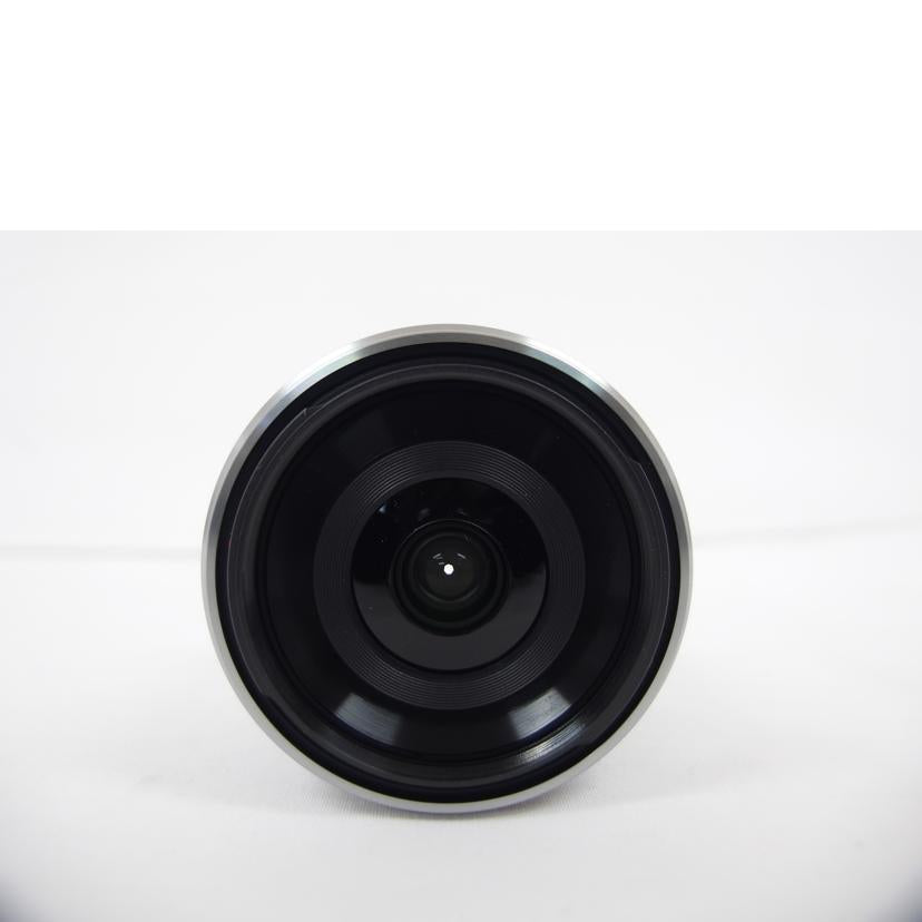 SONY ソニー/等倍マクロレンズ/単焦点/AF/SEL30M35//1853125/ABランク/04