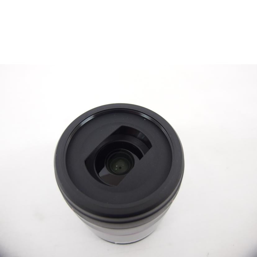 SONY ソニー/等倍マクロレンズ/単焦点/AF/SEL30M35//1853125/ABランク/04