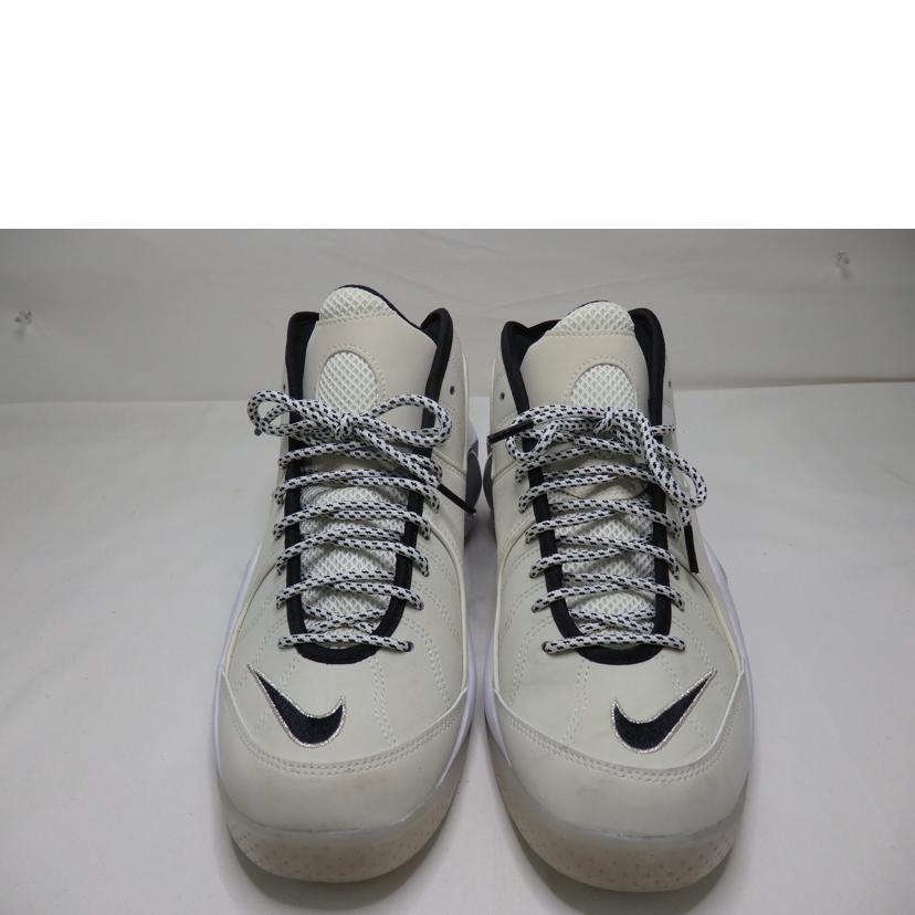 NIKE ナイキ/NIKE ZOOM FLIGHT95/29.0cm/DX5505-100//ABランク/84