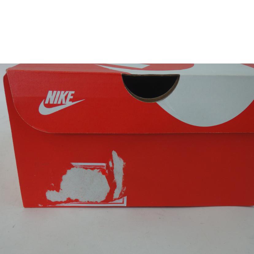 NIKE ナイキ/NIKE DUNK LOW RETRO NAS/FD6923-001//Sランク/84