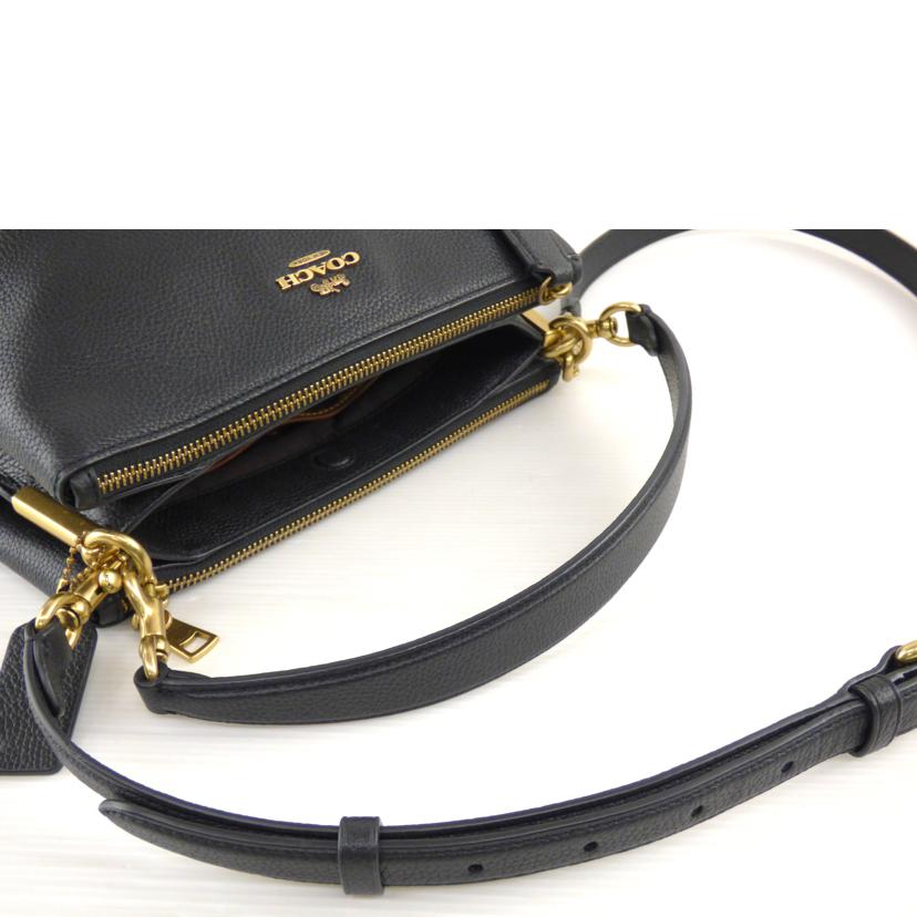 COACH コーチ/レザー2WAYバッグ/C4645//C22**/ABランク/64