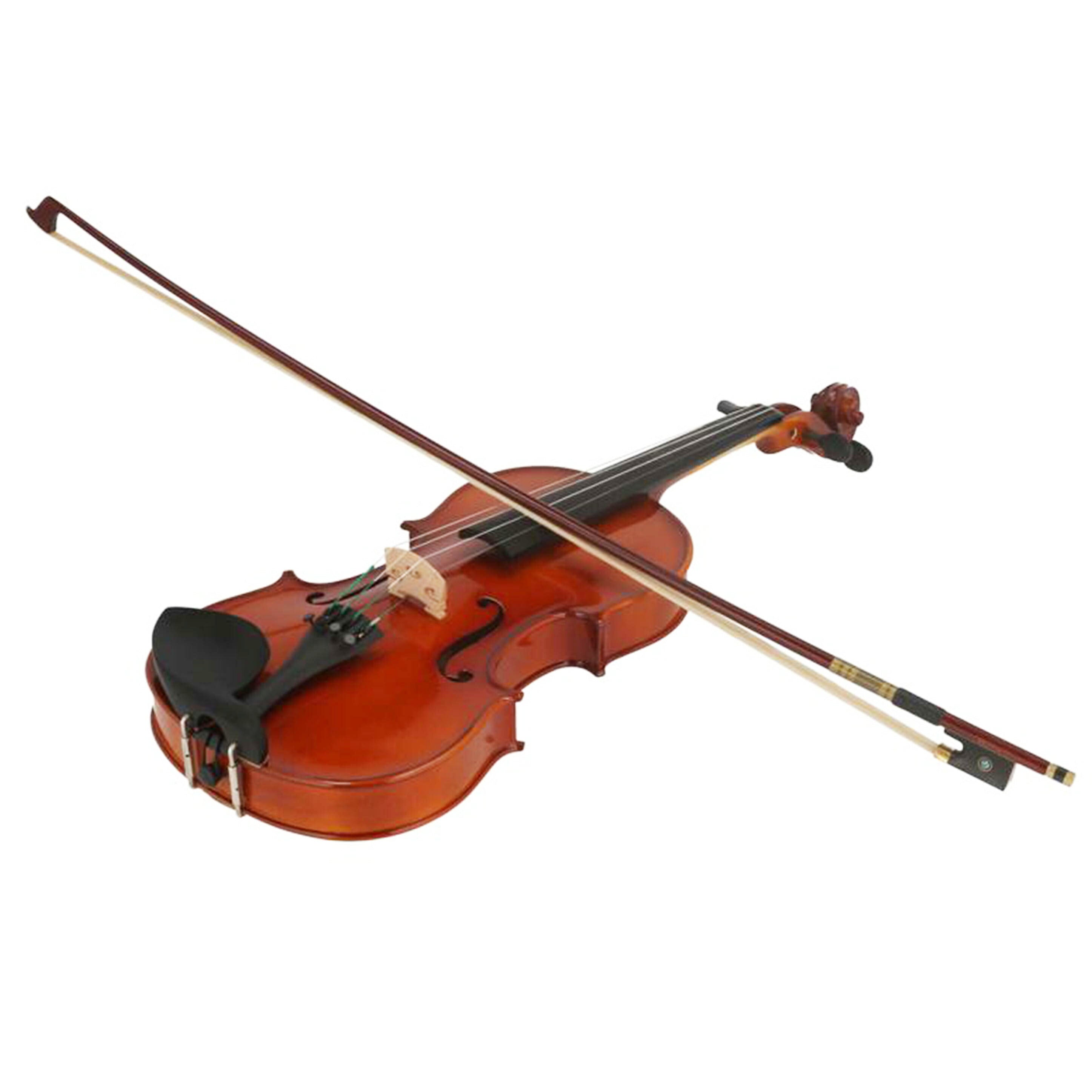 Carlo giordano カルロ ジョルダノ/バイオリン/VS-1 4/4//Aランク/77