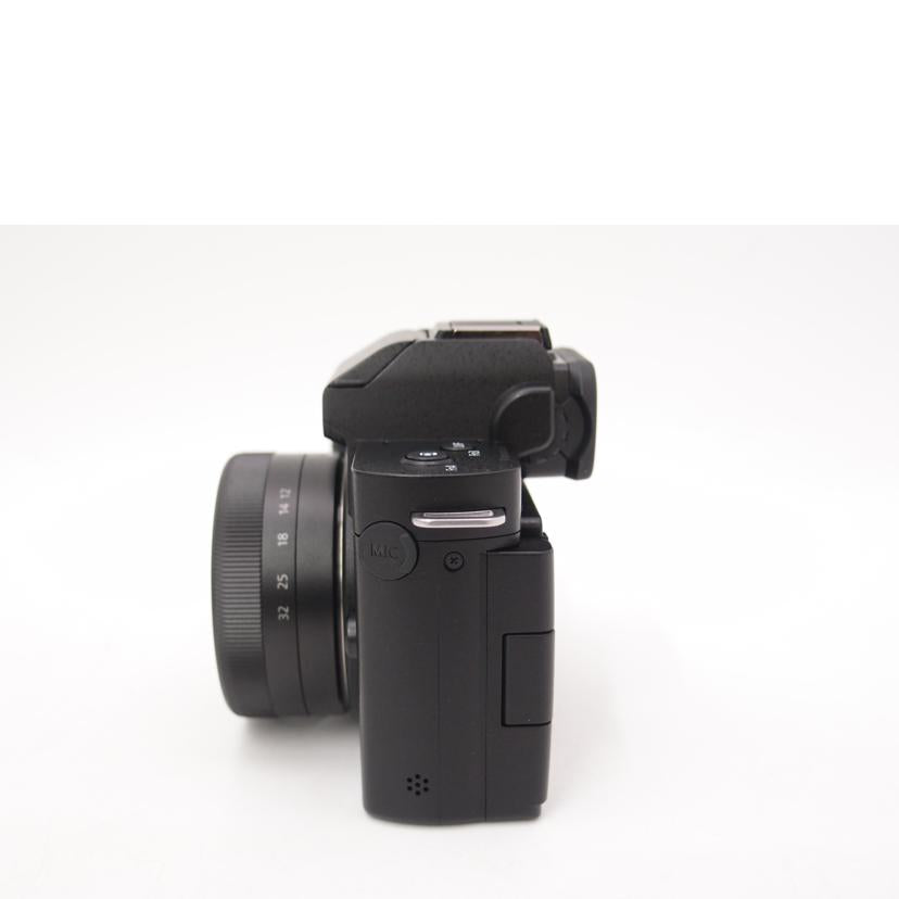 Panasonic パナソニック/ミラーレス一眼レフカメラ レンズキット/LUMIX DC-G100DK//WF4LB001884/Aランク/69