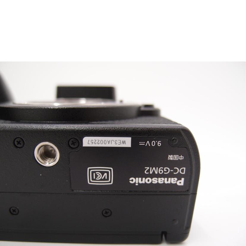 Panasonic パナソニック/ミラーレス一眼レフカメラ ボディ/LUMIX DC-G9M2//WE3JA002257/Aランク/69