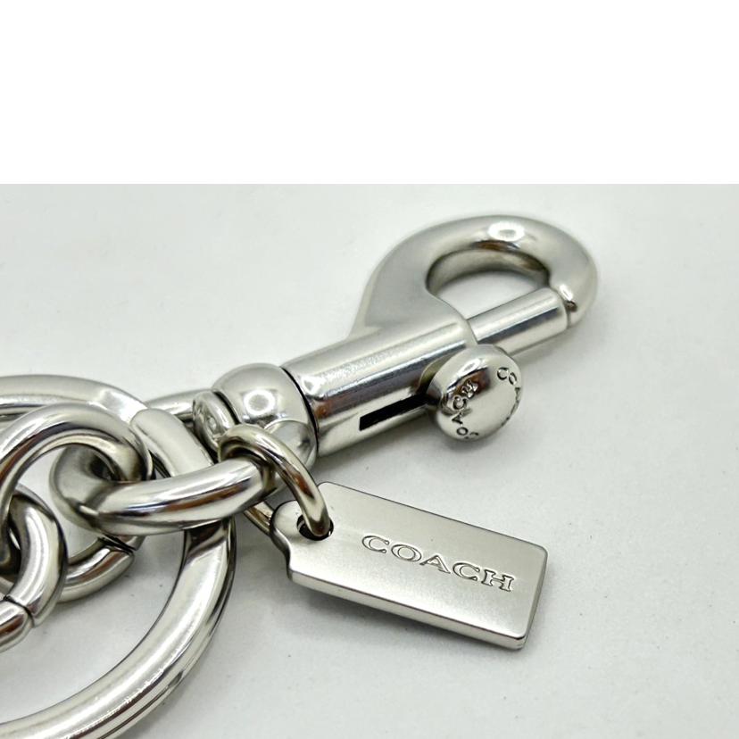 COACH コーチ/COACH/グリッター3Dチェリーチャーム//SAランク/75