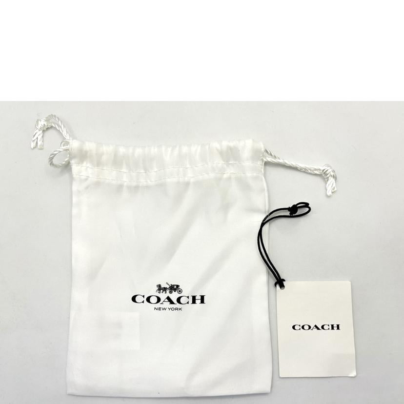 COACH コーチ/COACH/グリッター3Dチェリーチャーム//SAランク/75