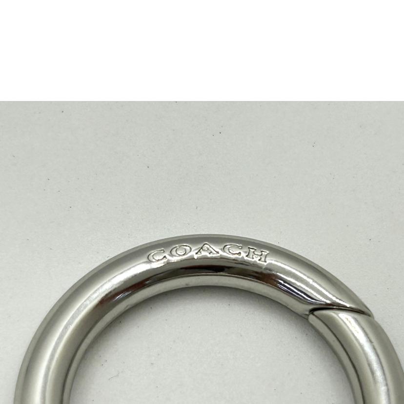 COACH コーチ/コーチ/ティーローズバックチャーム/ドラゴンフルーツ//SAランク/75