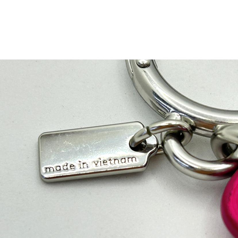 COACH コーチ/コーチ/ティーローズバックチャーム/ドラゴンフルーツ//SAランク/75