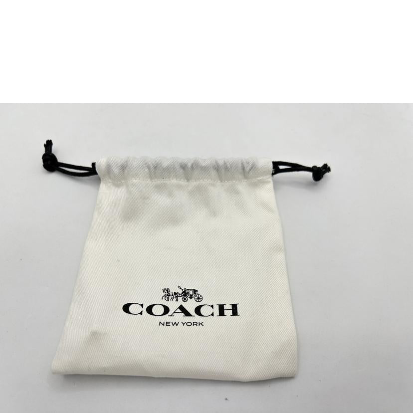 COACH コーチ/コーチ/ティーローズバックチャーム/ドラゴンフルーツ//SAランク/75