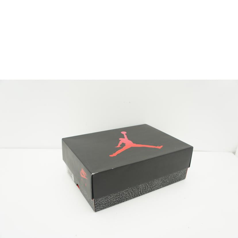 NIKE ナイキ/AIR JORDAN 3 RETRO/DN3707-160//ABランク/41