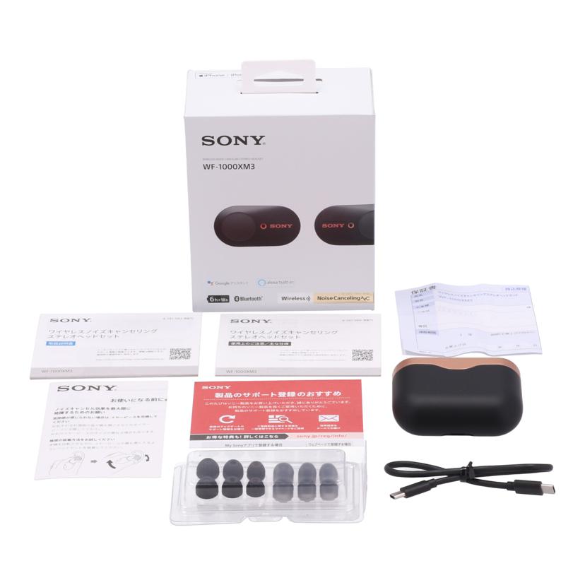 SONY ソニー /ワイヤレスイヤホン/WF-1000XM3//S017858513N/Bランク/62