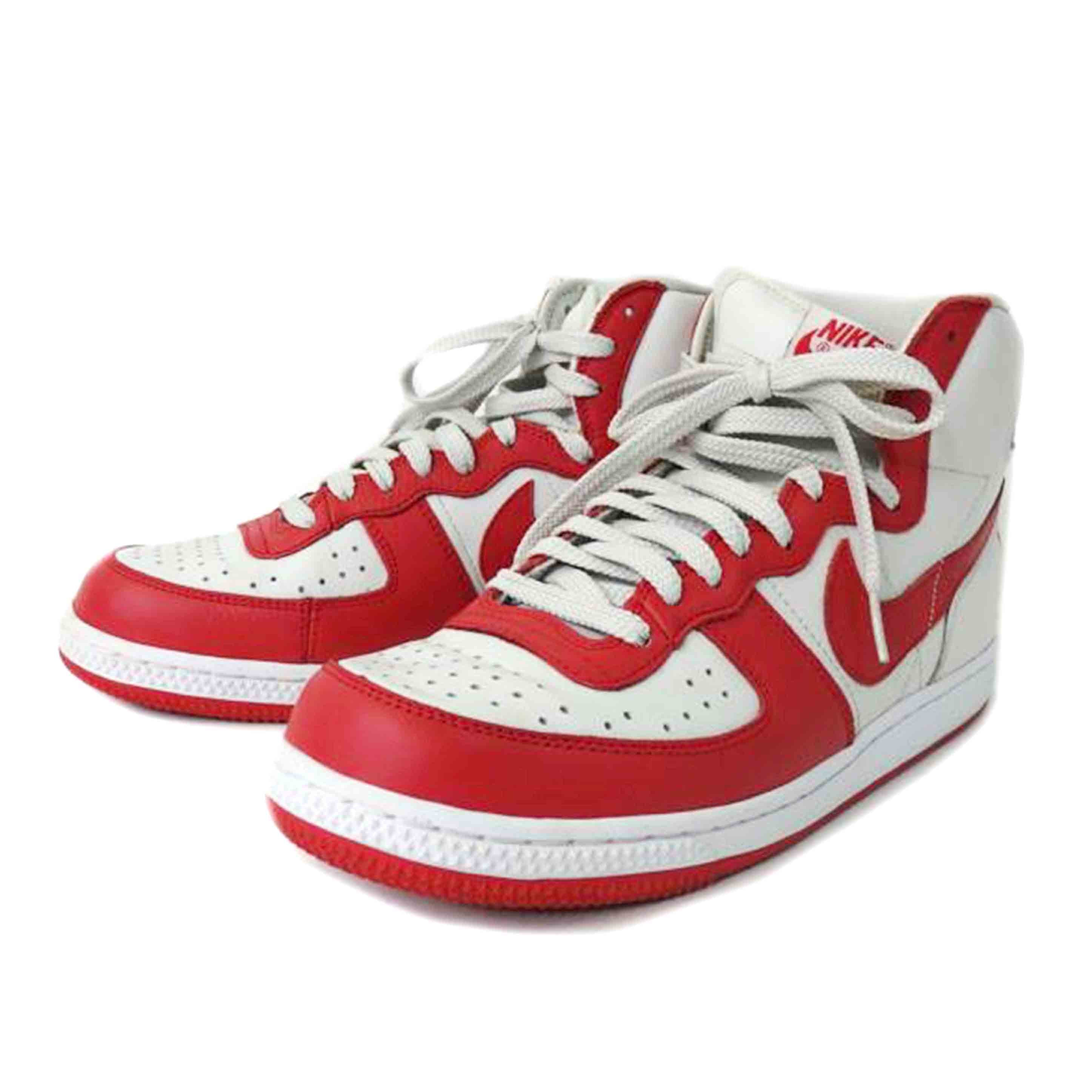 NIKE ナイキ/NIKE TERMINATOR HIGH BASIC/573789-066//Bランク/84