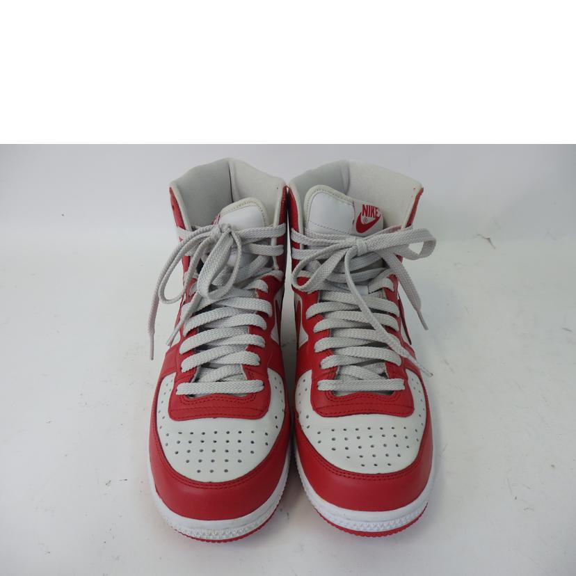 NIKE ナイキ/NIKE TERMINATOR HIGH BASIC/573789-066//Bランク/84