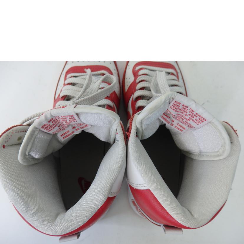 NIKE ナイキ/NIKE TERMINATOR HIGH BASIC/573789-066//Bランク/84